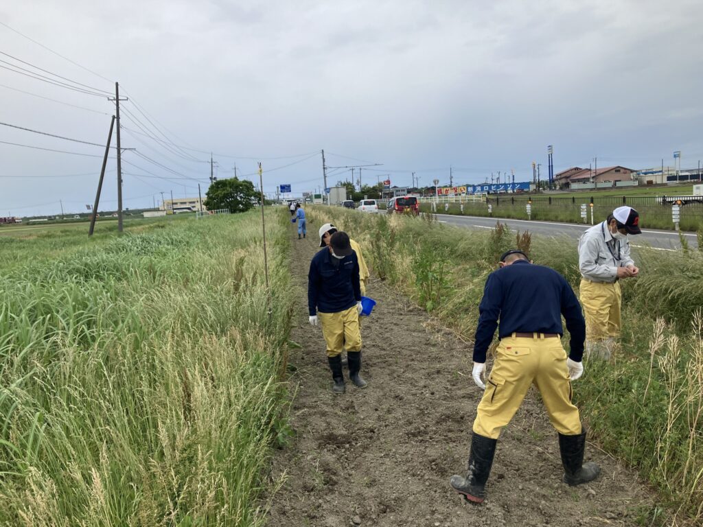 延長50ｍｘ8区画・計400ｍ