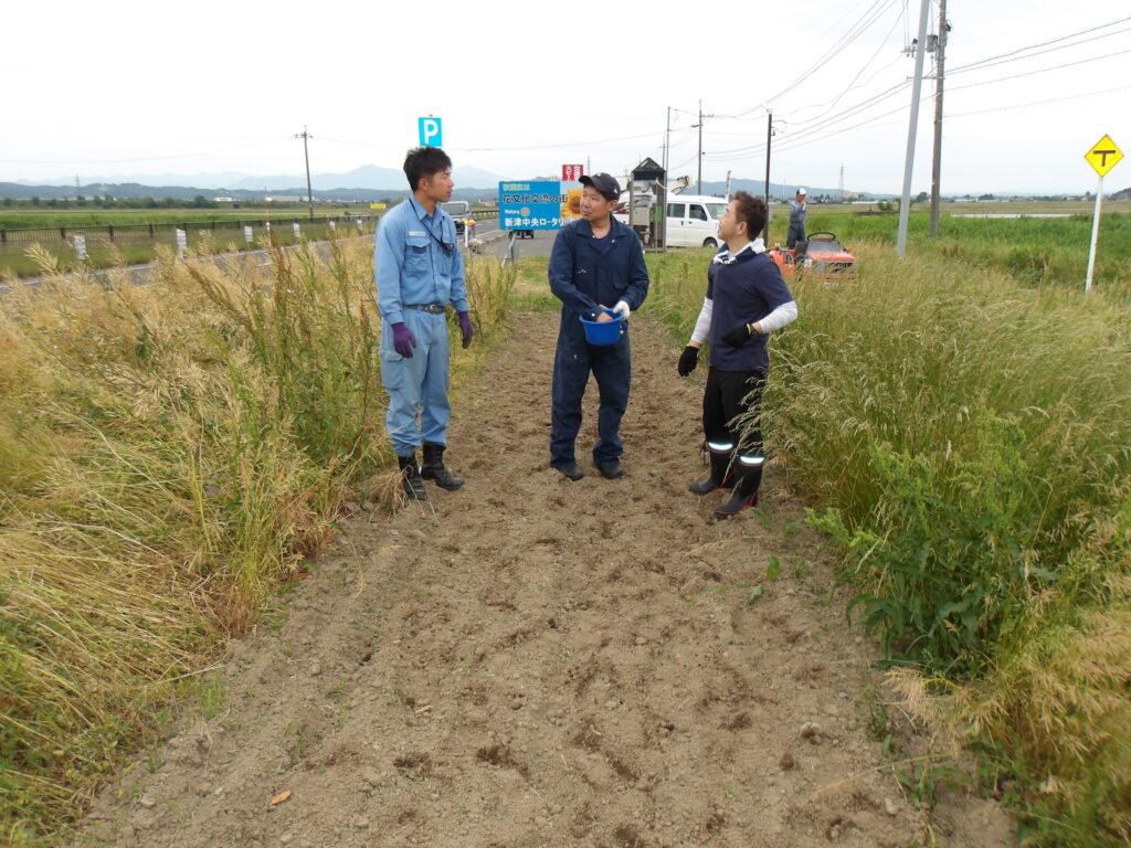 ひまわりの種まき