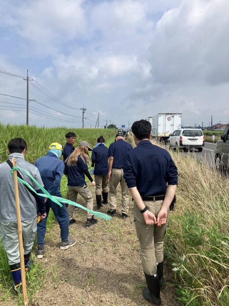 フラワーロード実行委員会
国道403号線沿い
コスモス種まき