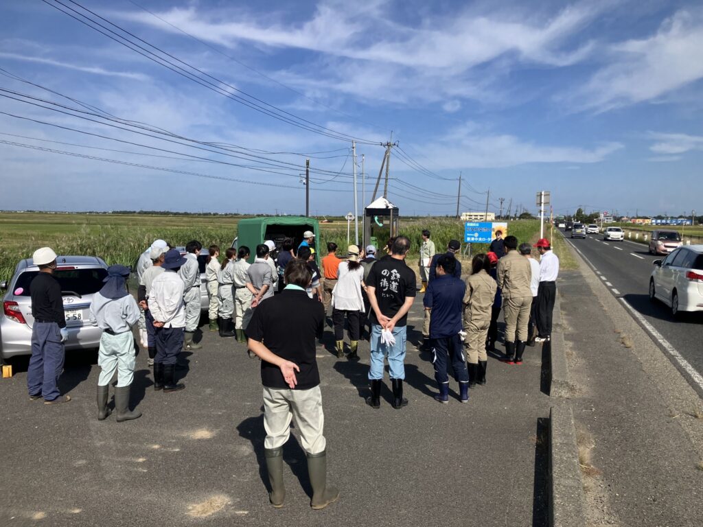 菜の花の種まき作業